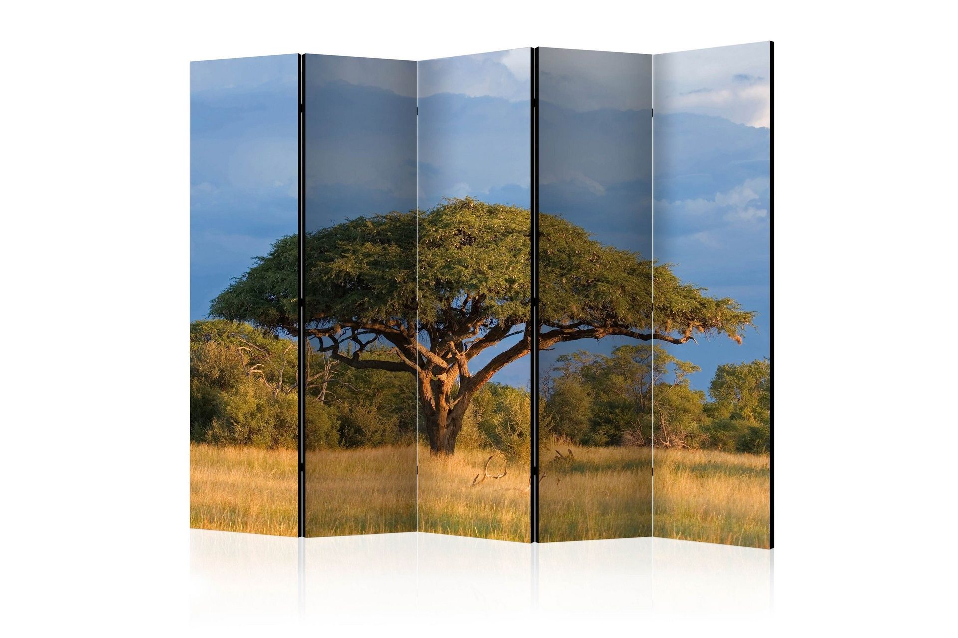 Romdeler - African Acacia Tree 225 - Artgeist sp. z o. o.