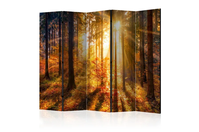 Romdeler - Autumn Awakening II 225x172, Artgeist sp. z o. o.