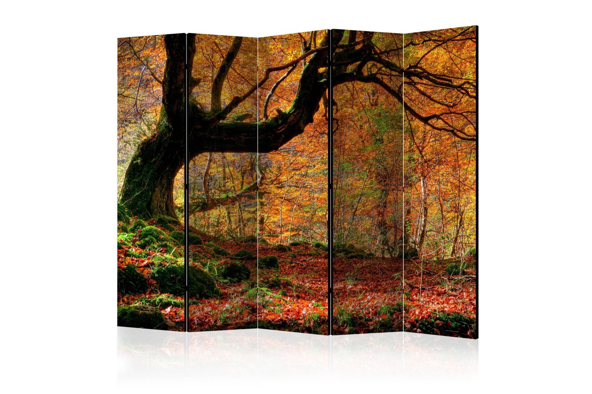 Romdeler - Autumn forest and leaves II 225x172 - Artgeist sp. z o. o.