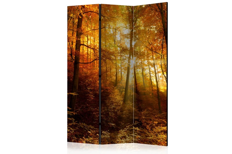 Romdeler - Autumn Illumination 135x172 - Artgeist sp. z o. o. - Innredning - Romdelere - Bretteskjerm
