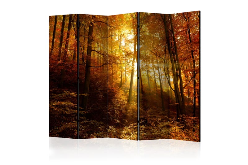 Romdeler - Autumn Illumination II 225x172 - Artgeist sp. z o. o. - Bretteskjerm - Romdelere
