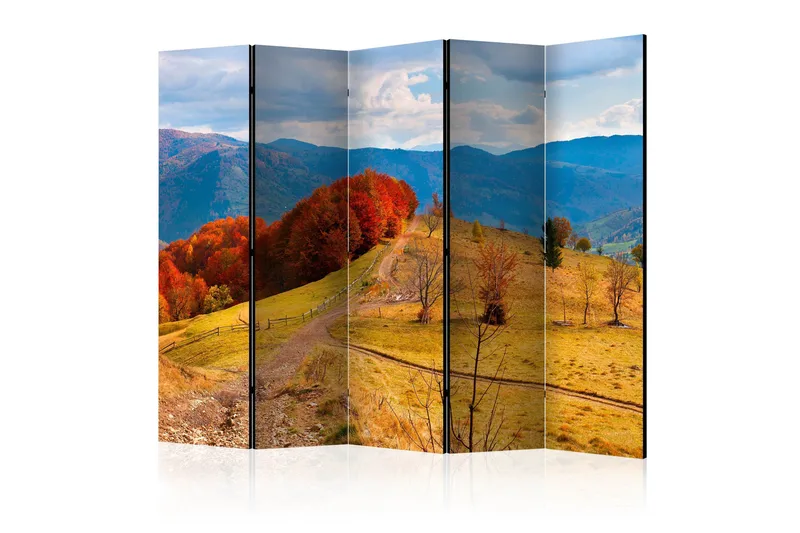 Romdeler - Autumn landscape in the Carpathian 225x172, Artgeist sp. z o. o.