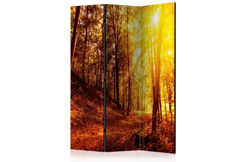 Romdeler - Autumn Walk 135x172 - Artgeist sp. z o. o. - Innredning - Romdelere - Bretteskjerm