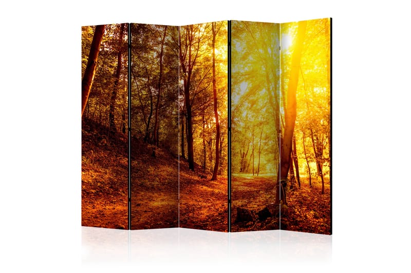 Romdeler - Autumn Walk II 225x172 - Artgeist sp. z o. o. - Innredning - Romdelere - Bretteskjerm
