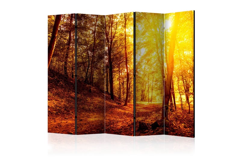 Romdeler - Autumn Walk II 225x172, Artgeist sp. z o. o.