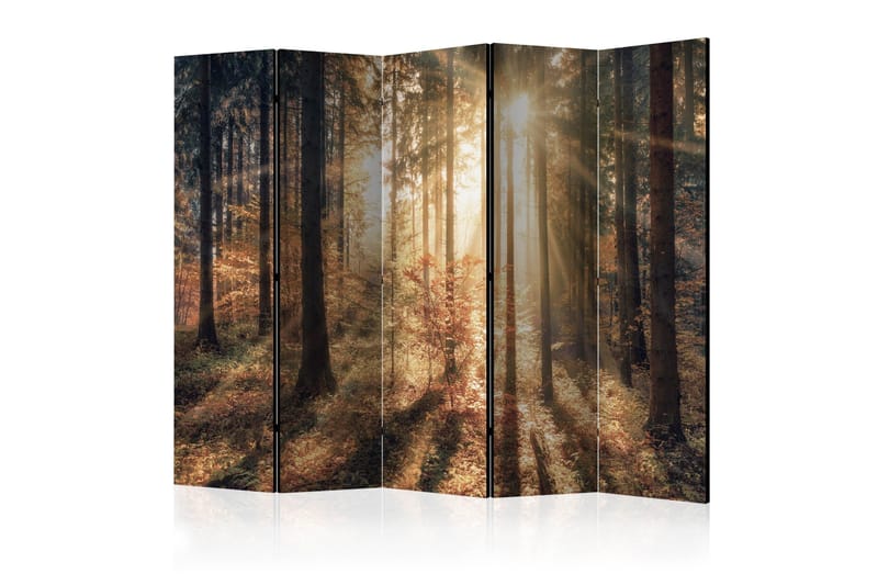 Romdeler - Autumnal Forest II 225x172, Artgeist sp. z o. o.