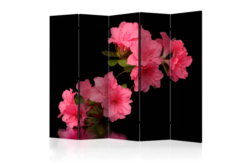 Romdeler Azalea in Black II, Artgeist sp. z o. o.