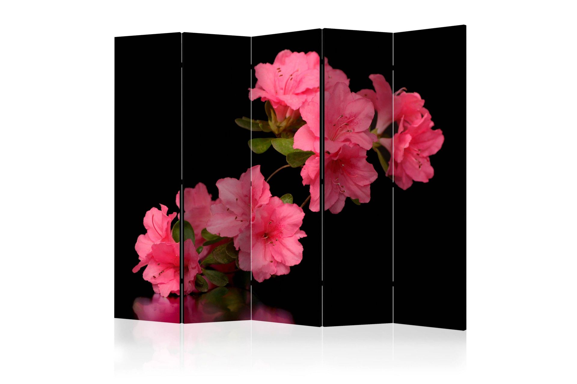 Romdeler Azalea in Black II - Artgeist sp. z o. o.
