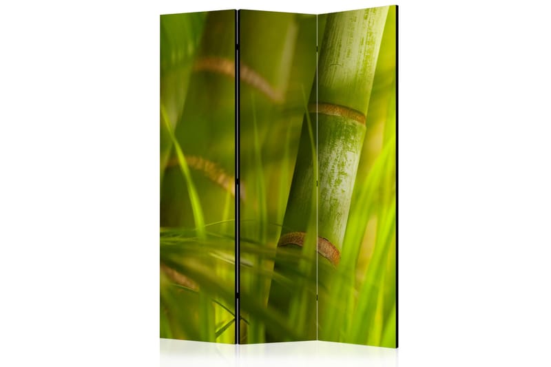 Romdeler Bamboo - Nature Zen - Artgeist sp. z o. o. - Innredning - Romdelere - Bretteskjerm
