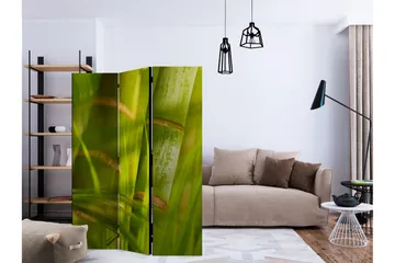 Romdeler Bamboo - Nature Zen - Artgeist sp. z o. o. - Innredning - Romdelere - Bretteskjerm