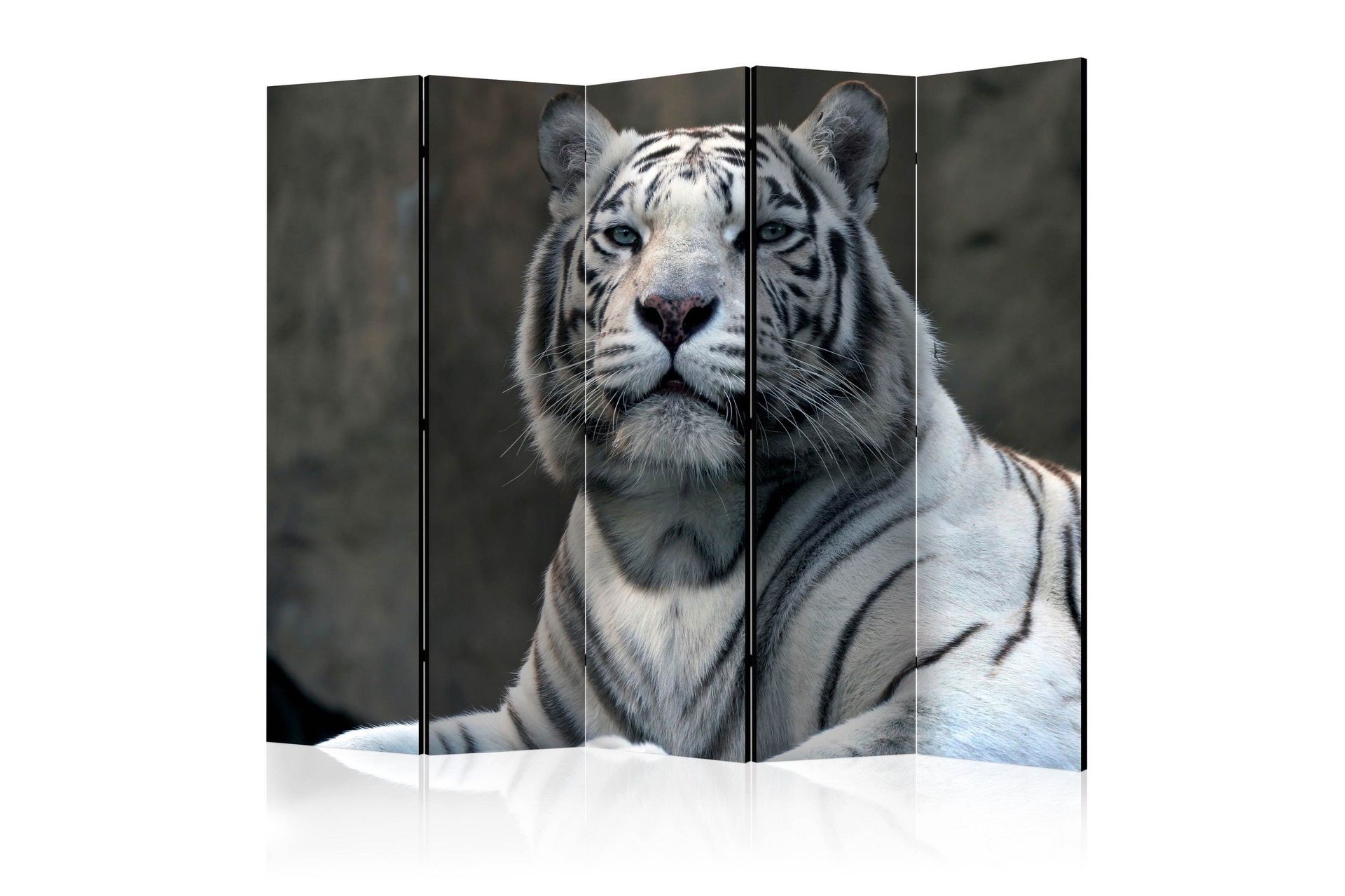Romdeler - Bengali tiger in zoo II 225x172 - Artgeist sp. z o. o.
