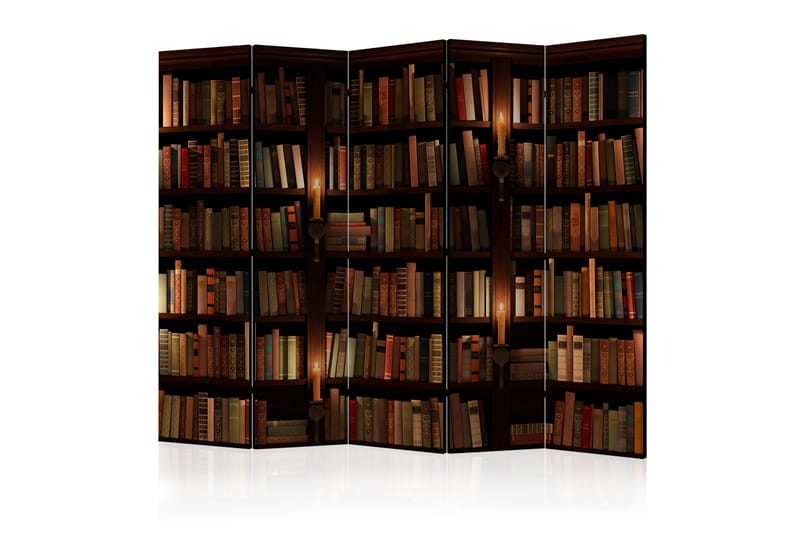Romdeler - Bookshelves II 225x172 - Artgeist sp. z o. o. - Bretteskjerm - Romdelere