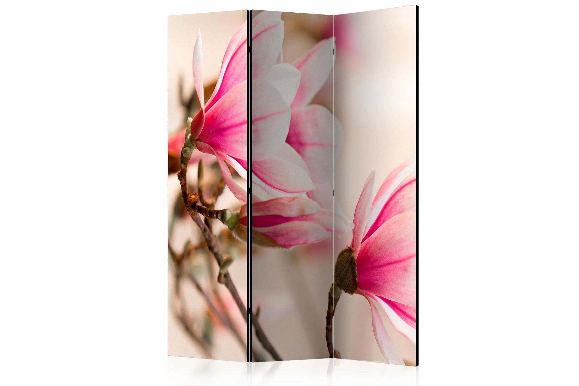 Romdeler -  Branch of magnolia tree 135x172 - Artgeist sp. z o. o. - Innredning - Romdelere - Bretteskjerm