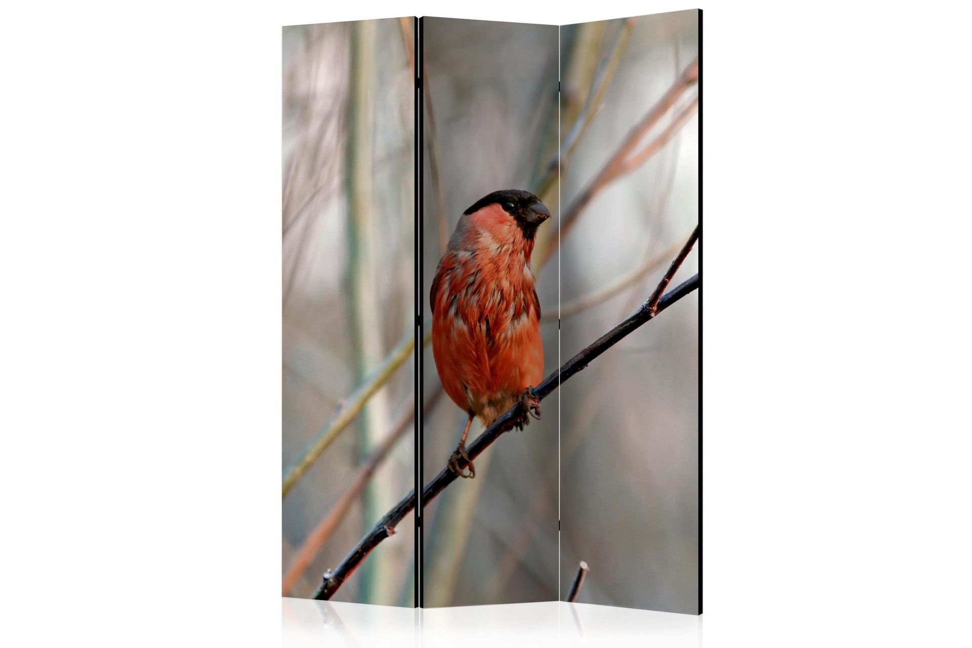 Romdeler - Bullfinch in the forest 135x172 - Artgeist sp. z o. o.