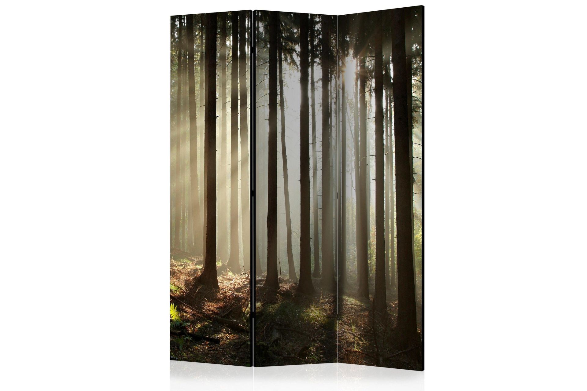 Romdeler Coniferous Forest - Artgeist sp. z o. o.