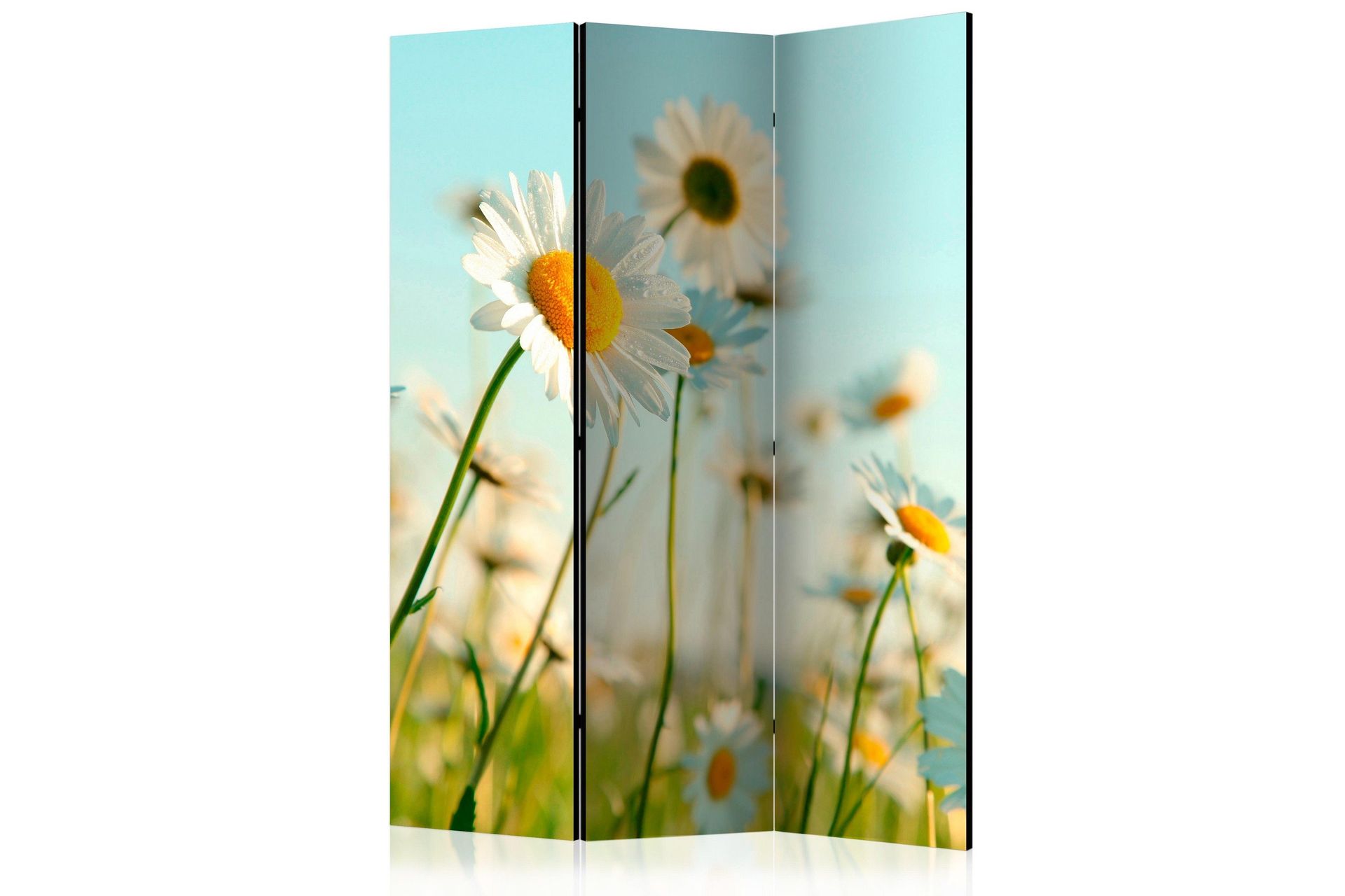Romdeler - Daisies - spring meadow 135x172 - Artgeist sp. z o. o.