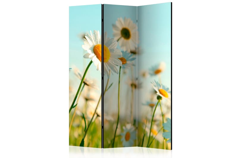 Romdeler - Daisies - spring meadow 135x172, Artgeist sp. z o. o.