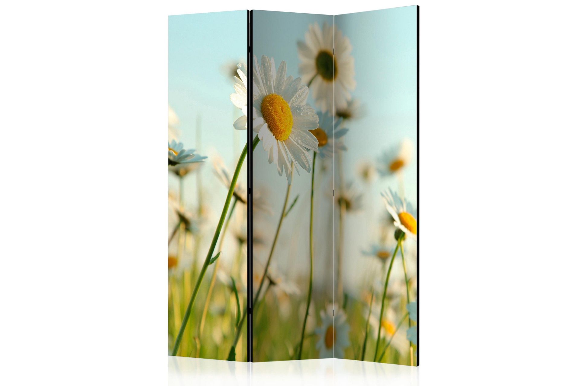 Romdeler Daisies - Spring Meadow - Artgeist sp. z o. o.
