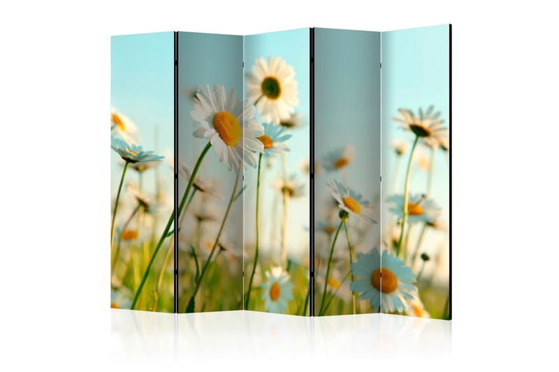 Romdeler - Daisies - spring meadow II 225x172 - Artgeist sp. z o. o. - Innredning - Romdelere - Bretteskjerm
