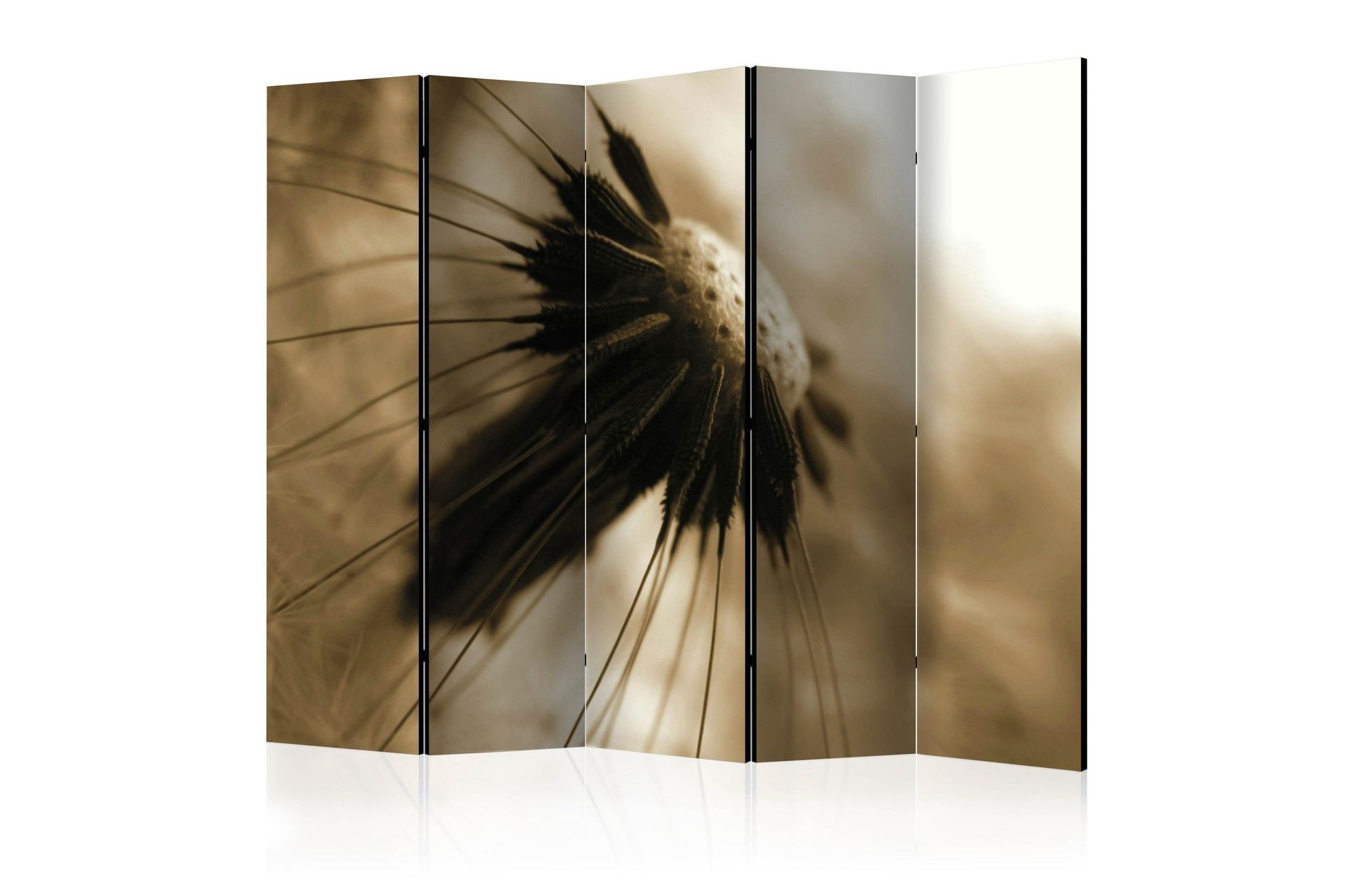 Romdeler - Dandelion II 225x172 - Artgeist sp. z o. o.