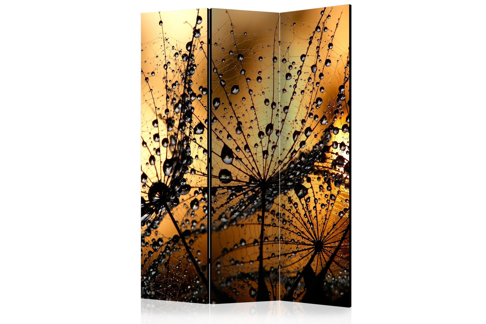 Romdeler Dandelions In The Rain 135x172 - Artgeist sp. z o. o.