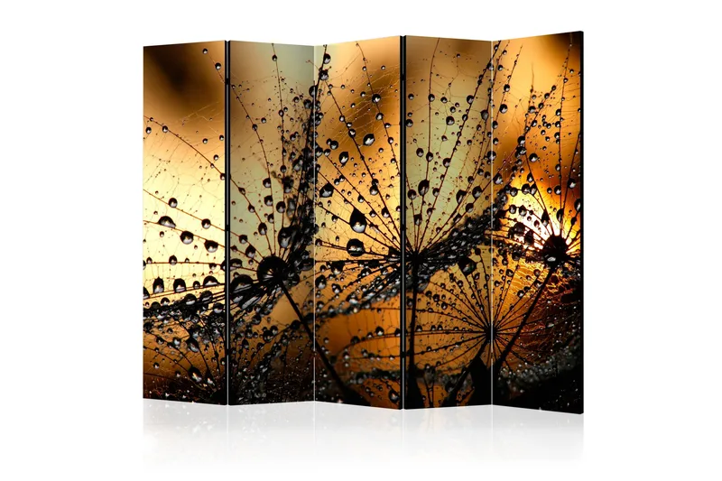 Romdeler Dandelions In The Rain 225x172, Artgeist sp. z o. o.
