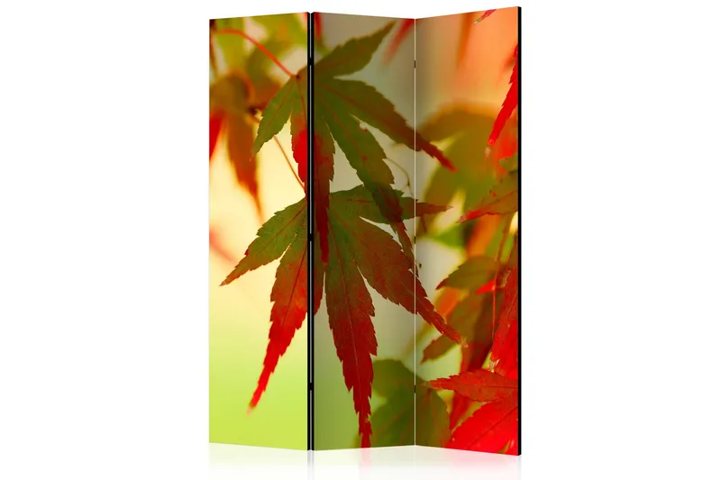 Romdeler - Fargerike blader 135x172, Artgeist sp. z o. o.