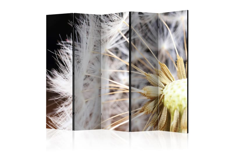 Romdeler - Fluffy Dandelion II 225x172 - Artgeist sp. z o. o. - Innredning - Romdelere - Bretteskjerm
