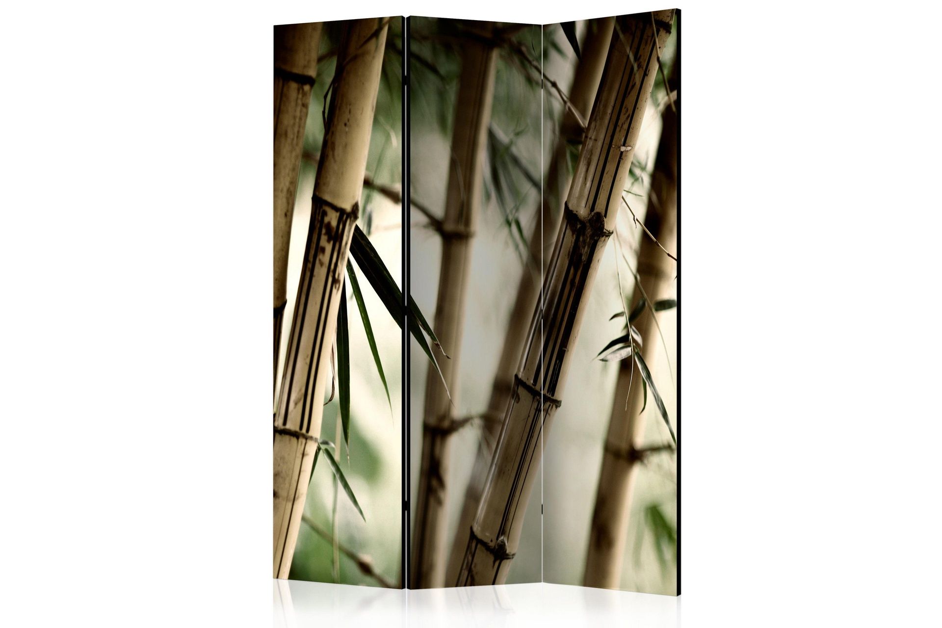 Romdeler Fog and Bamboo Forest - Artgeist sp. z o. o.