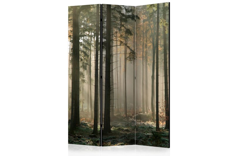 Romdeler Foggy November Morning, Artgeist sp. z o. o.