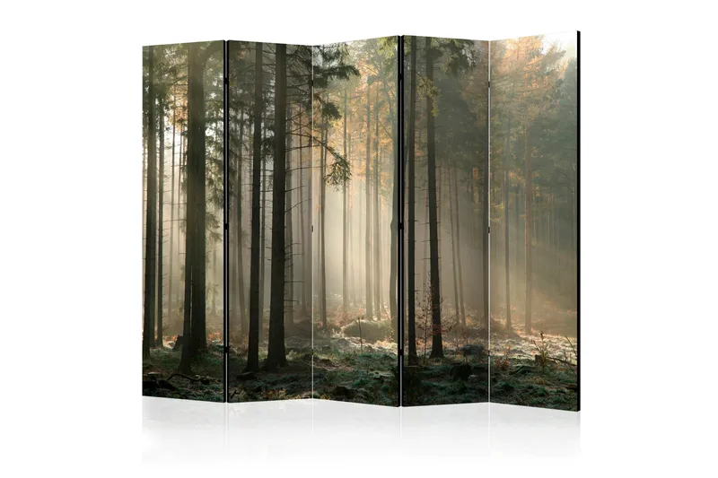 Romdeler Foggy November Morning II, Artgeist sp. z o. o.