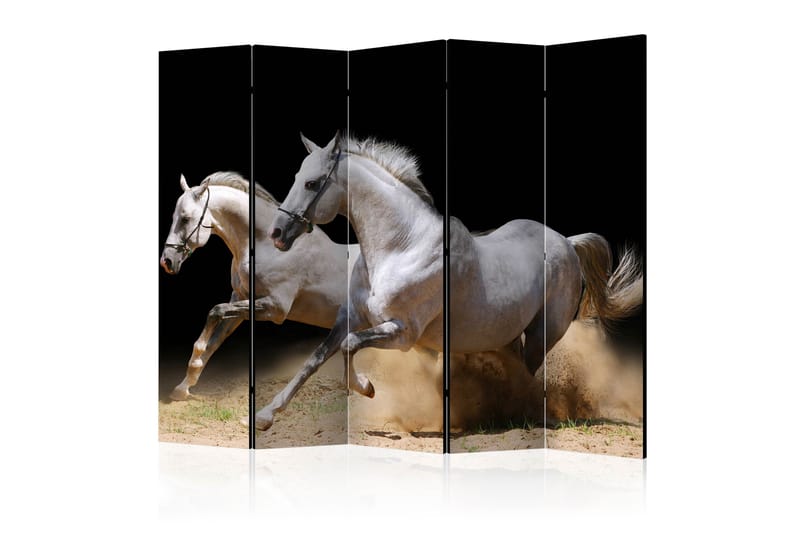 Romdeler - Galloping horses on the sand II 225x172 - Artgeist sp. z o. o. - Innredning - Romdelere - Bretteskjerm