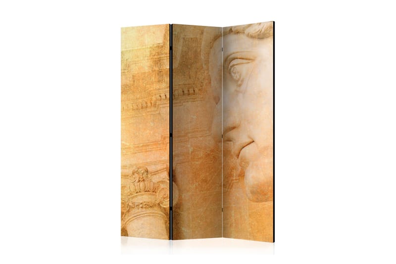 Romdeler - Greek God 135x172 - Artgeist sp. z o. o. - Innredning - Romdelere - Bretteskjerm