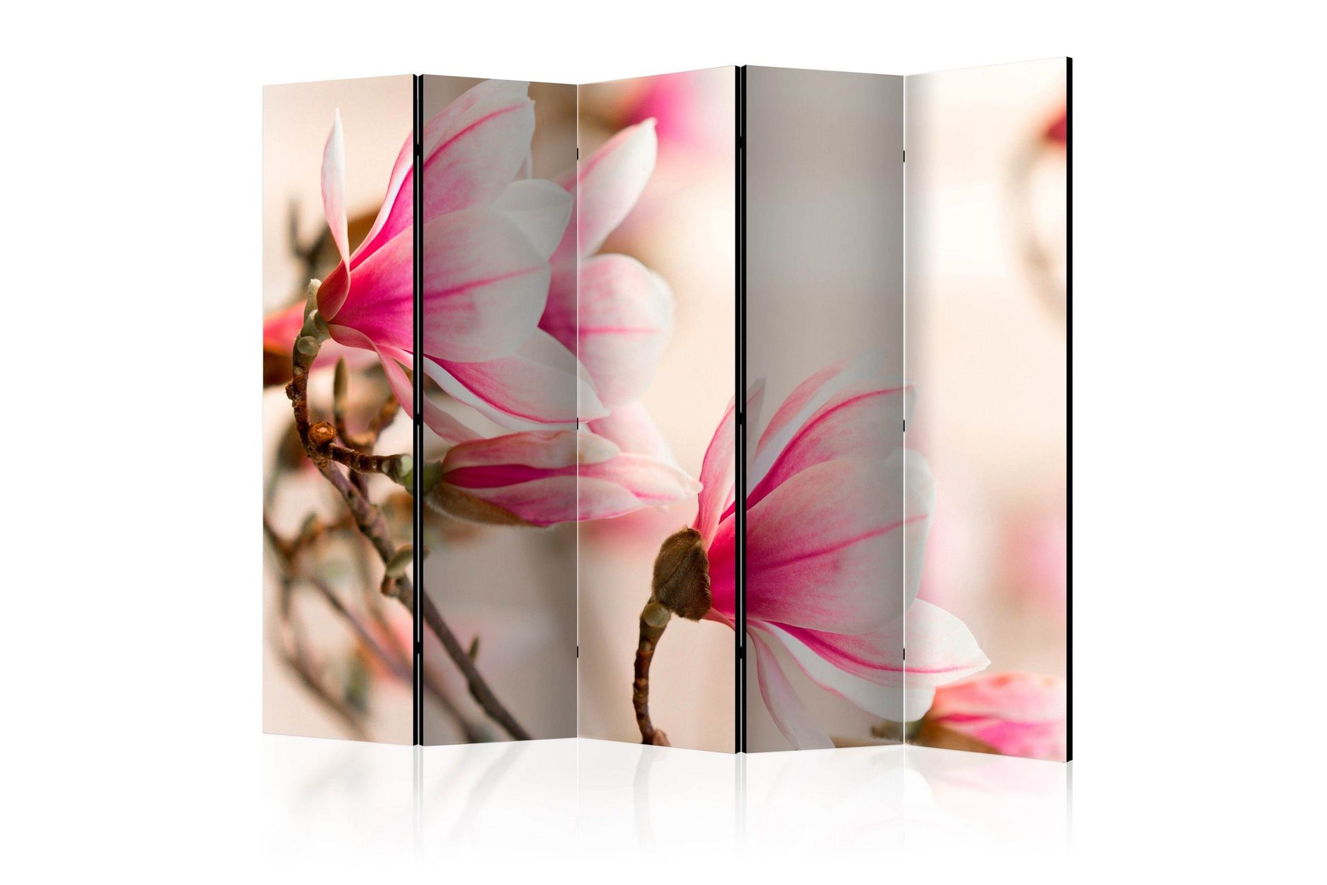 Romdeler - Gren av magnolietre II 225x172 - Artgeist sp. z o. o.