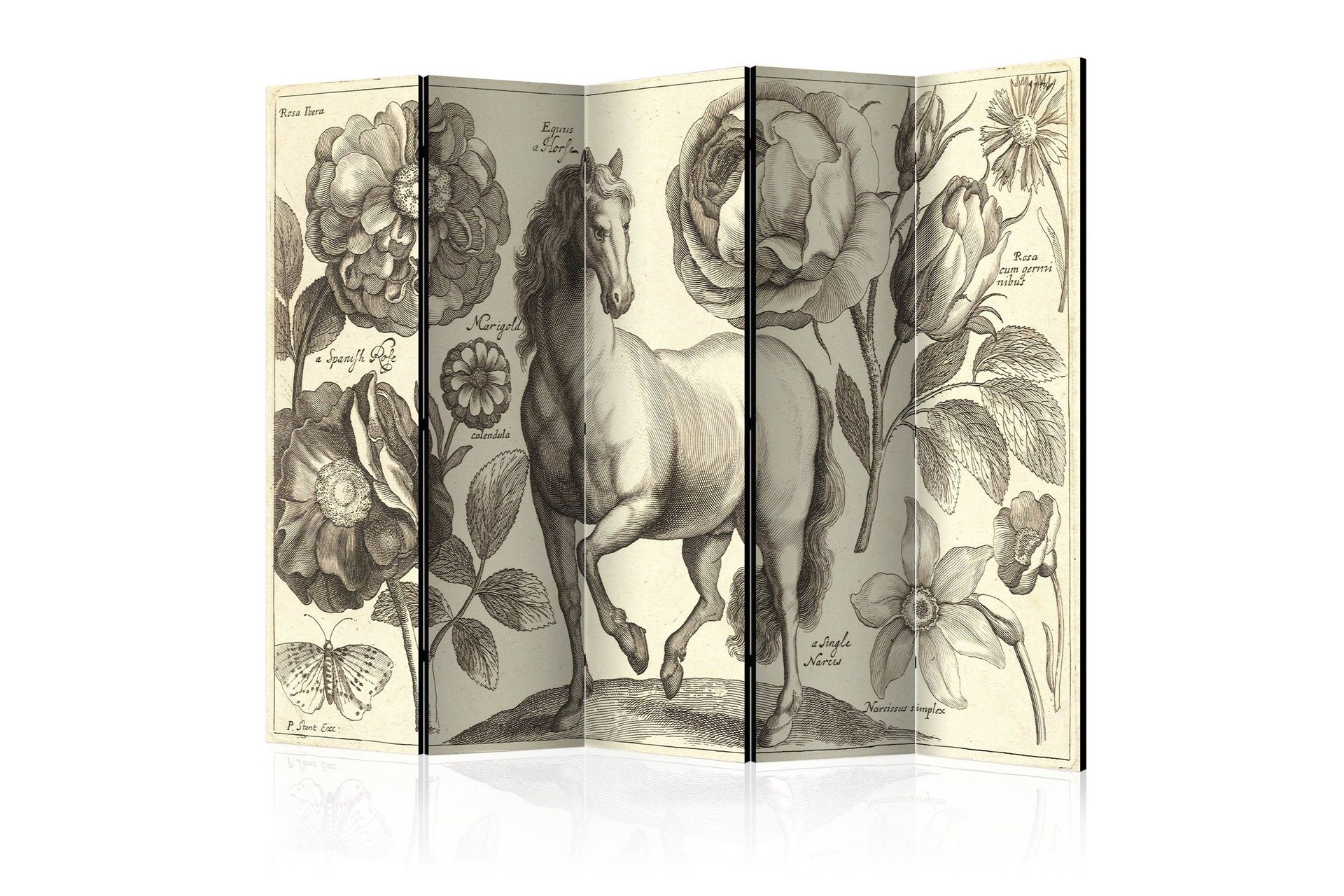 Romdeler Horse 225x172 - Artgeist sp. z o. o.