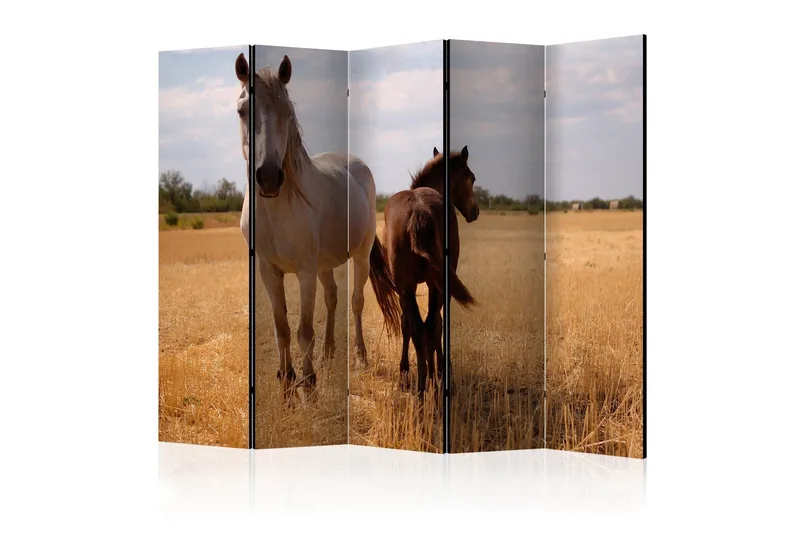 Romdeler - Horse and foal II 225x172, Artgeist sp. z o. o.