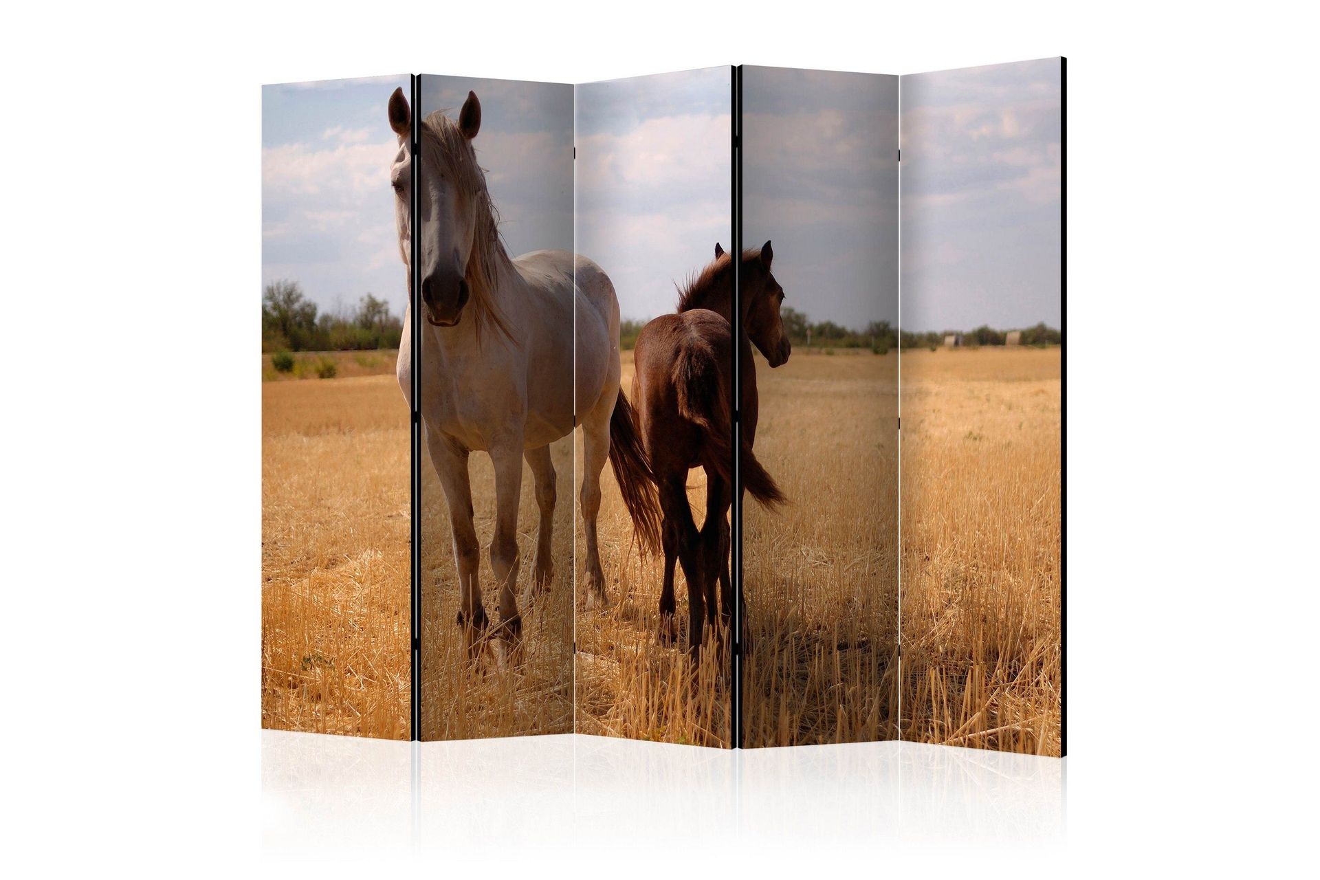 Romdeler - Horse and foal II 225x172 - Artgeist sp. z o. o.