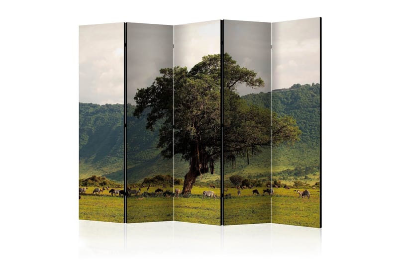 Romdeler - In a crater of Ngoro ngoro II 225x172, Artgeist sp. z o. o.