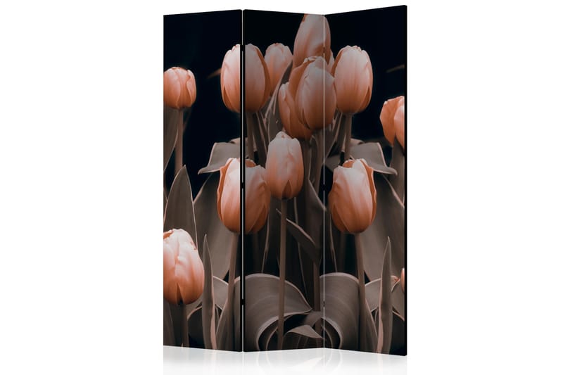 Romdeler Ladies Among the Flowers - Artgeist sp. z o. o. - Innredning - Romdelere - Bretteskjerm