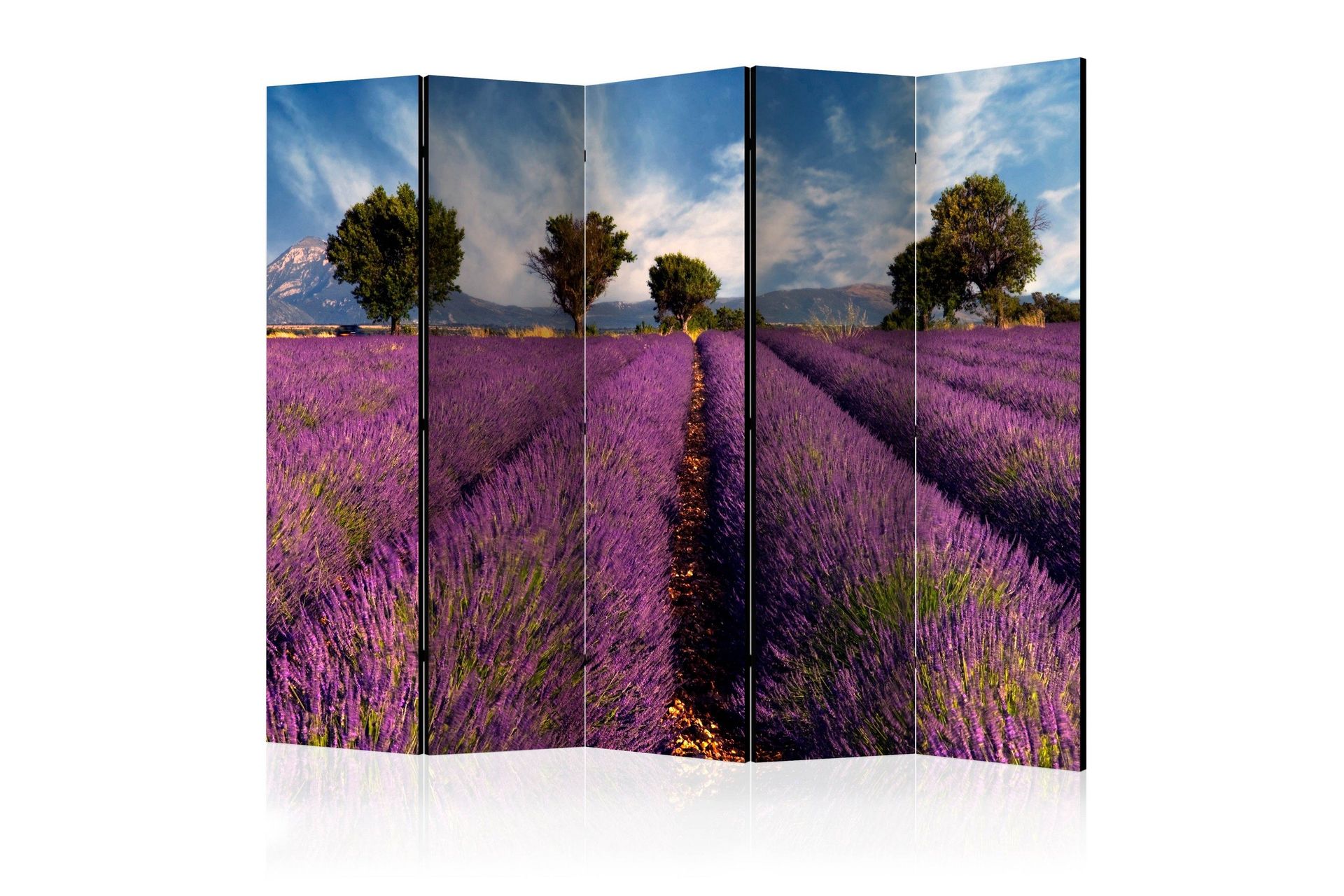 Romdeler Lavender Field in Provence, France II - Artgeist sp. z o. o.