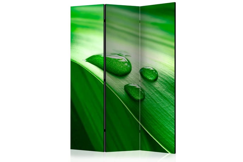 Romdeler - Leaf and three drops of water 135x172 - Artgeist sp. z o. o. - Innredning - Romdelere - Bretteskjerm