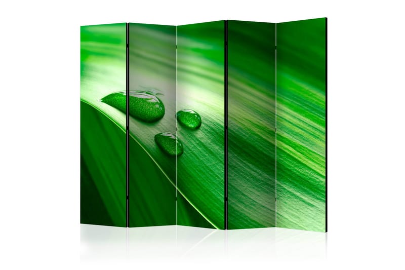 Romdeler - Leaf and three drops of water II 225x172, Artgeist sp. z o. o.