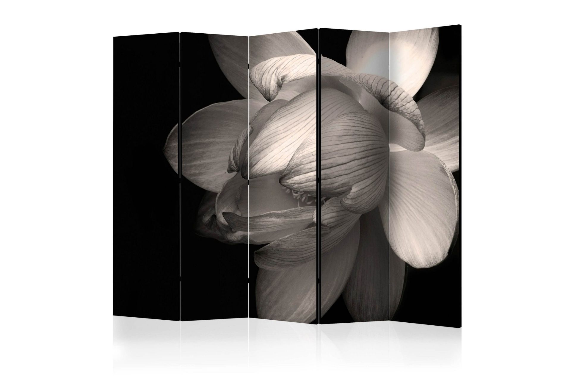 Romdeler - Lotus Flower II 225x172 - Artgeist sp. z o. o.