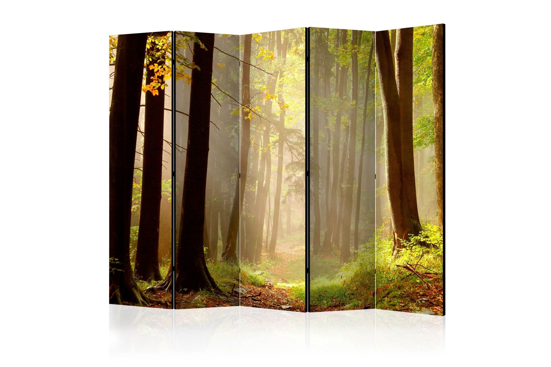 Romdeler - Mysterious forest path II 225x172 - Artgeist sp. z o. o.