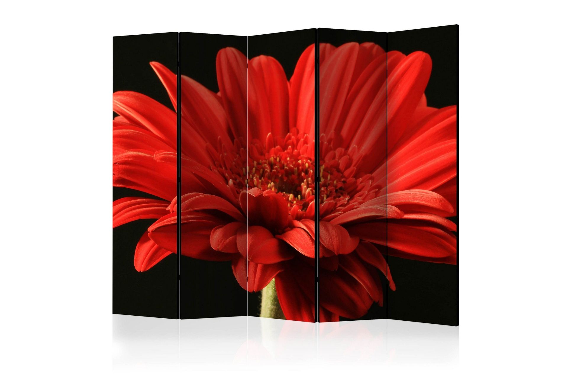 Romdeler - Red gerbera flower II 225x172 - Artgeist sp. z o. o.