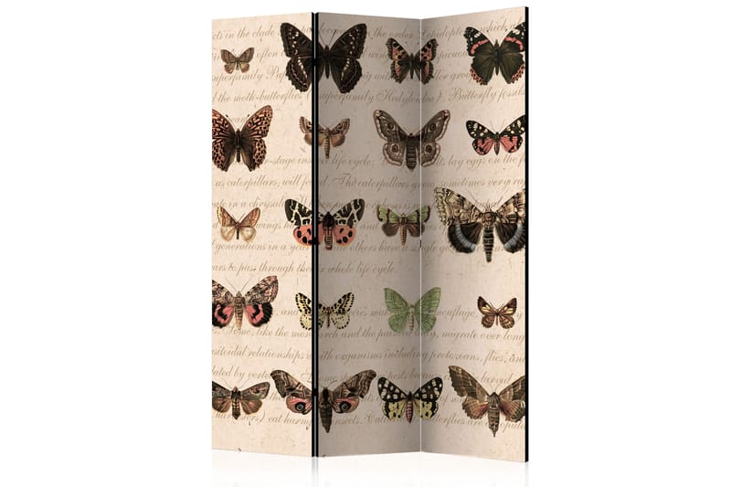 Romdeler Retro Style Butterflies 135x172 - Artgeist sp. z o. o. - Innredning - Romdelere - Bretteskjerm