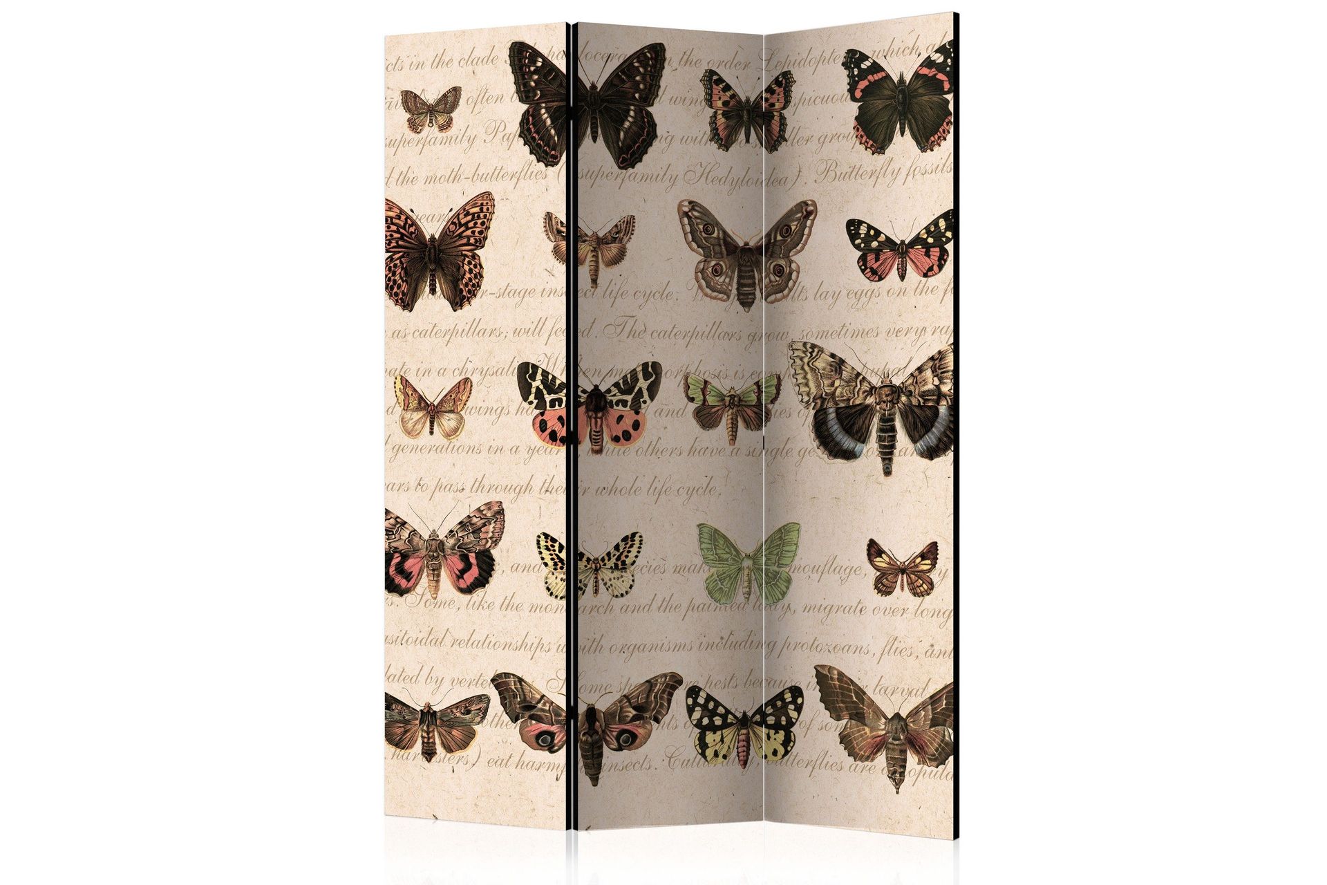 Romdeler Retro Style Butterflies 135x172 - Artgeist sp. z o. o.