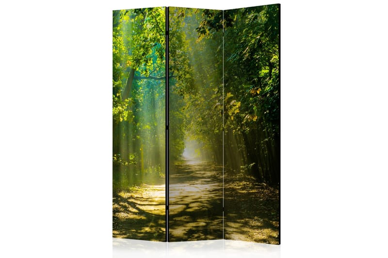 Romdeler Road In Sunlight 135x172, Artgeist sp. z o. o.