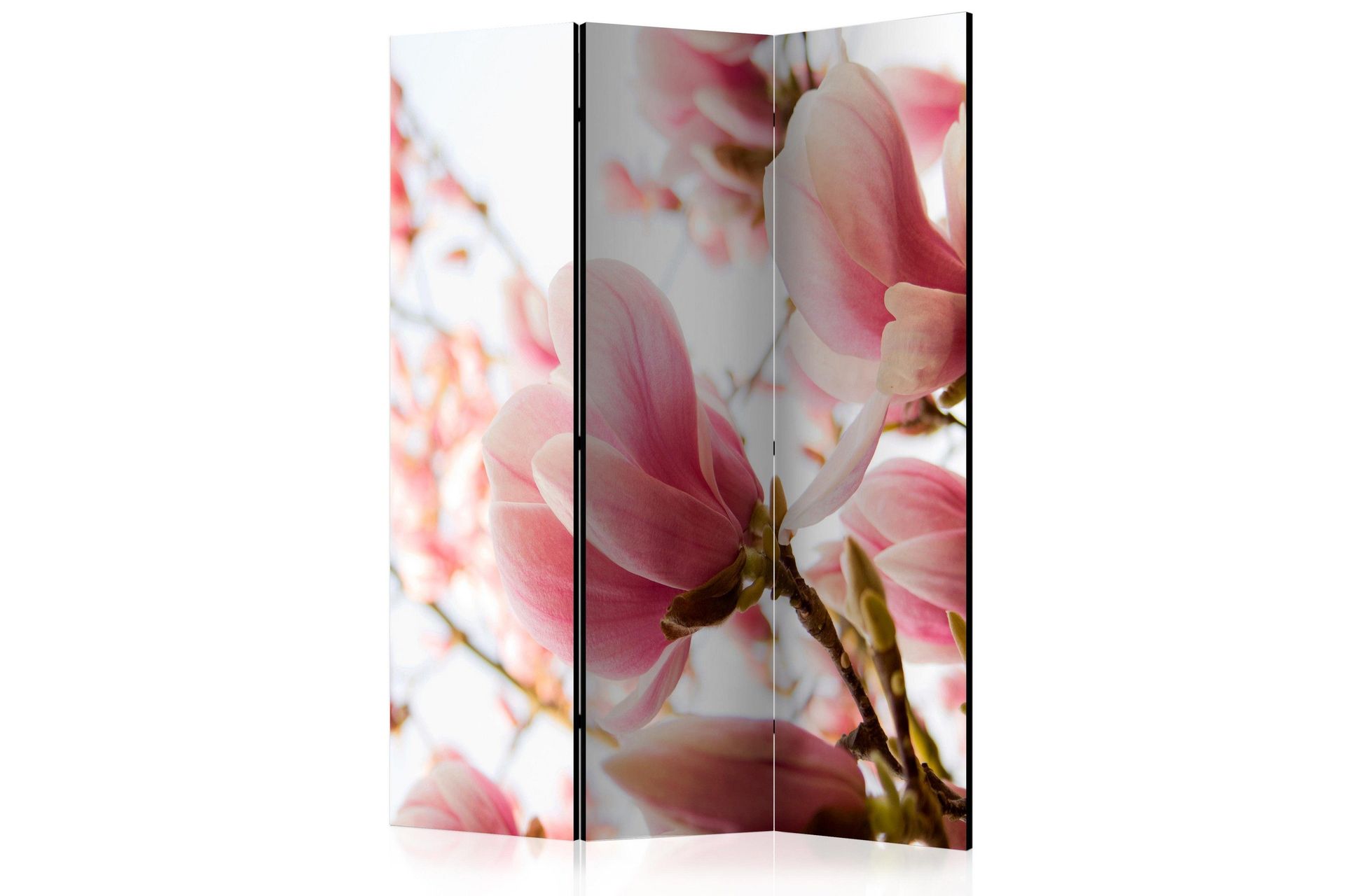 Romdeler - Rosa magnolia 135x172 - Artgeist sp. z o. o.