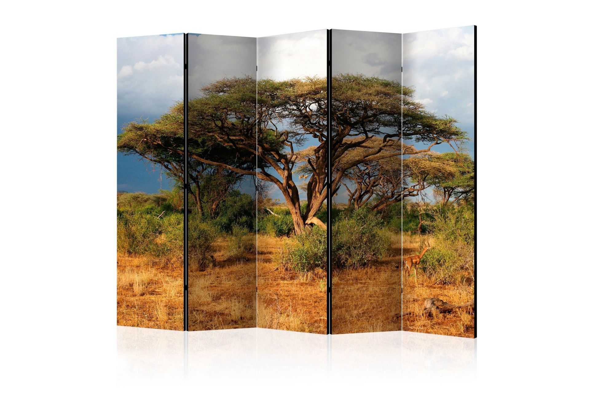 Romdeler - Samburu National Reserve II 225x172 - Artgeist sp. z o. o.